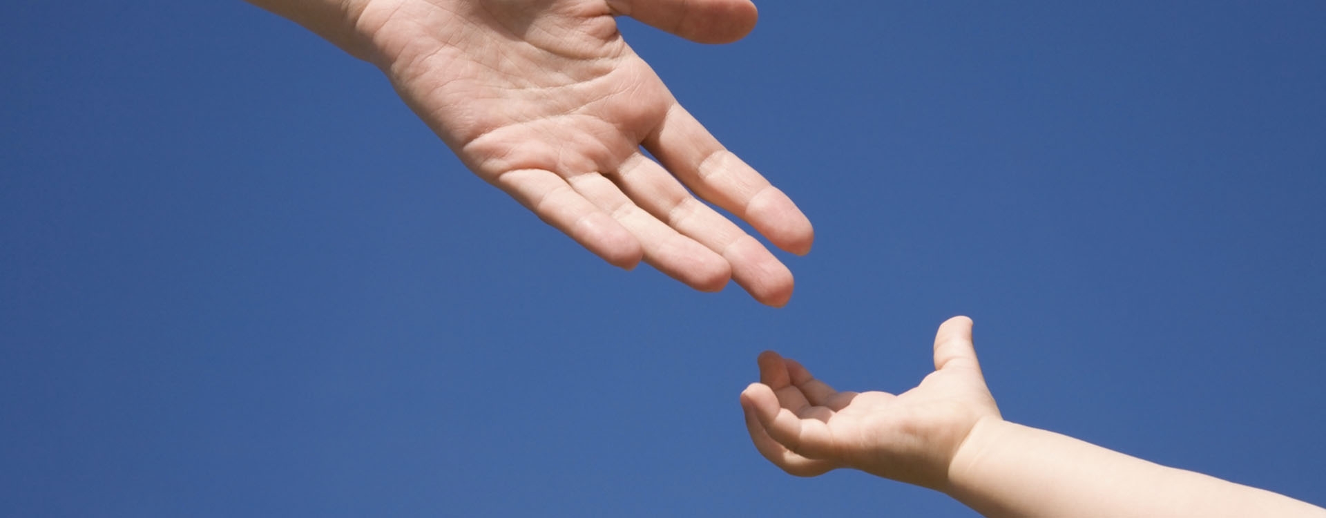 Voluntariado