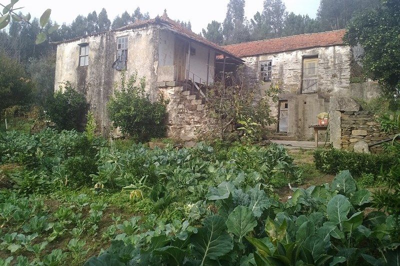 Horta