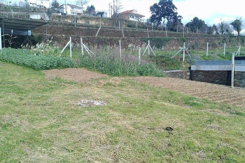 Horta2
