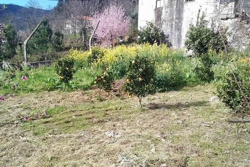Horta3